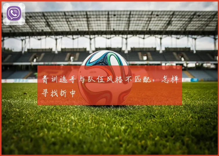 青训选手与队伍风格不匹配,怎样寻找折中