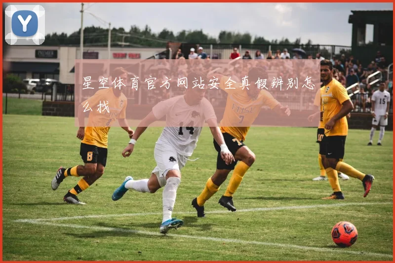 星空体育官方网站安全真假辨别怎么找